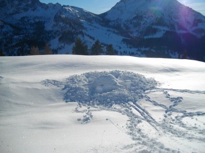 Někdo postavil před winterraumem iglú ve tvaru želvy