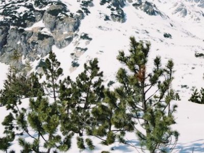 Koprovský štít 2363m