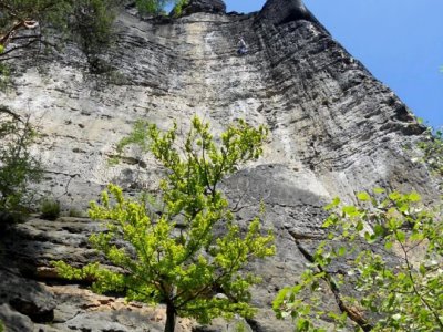Nádherný Goldstein z jihu