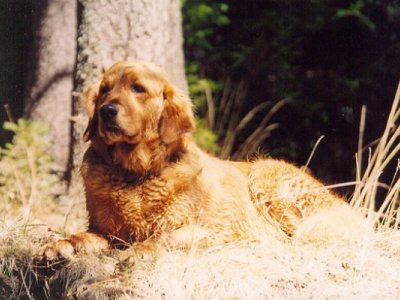 2. ročník Malloryho spacáku