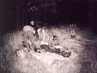 Šelmy se ukládají k noční luštěnce