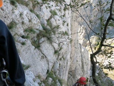 Eliška leze jako veverka