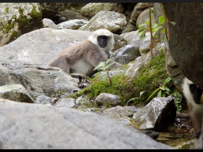 V Jhinu u hot springs