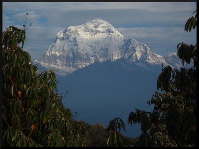 Dhaulagiri - 8.167 m, jižní stěna, která není ještě přelezená. Humarova trasa vede kolem skalního pásu zprava a nevede až na vrchol. 