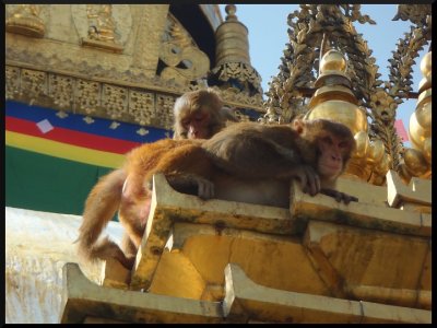Swayambunath - Monkey tempel, Kathmandu