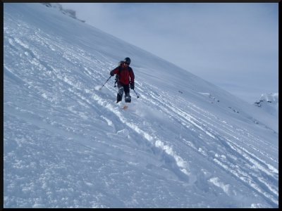 Happy si užívá jízdu v prašanu. 
