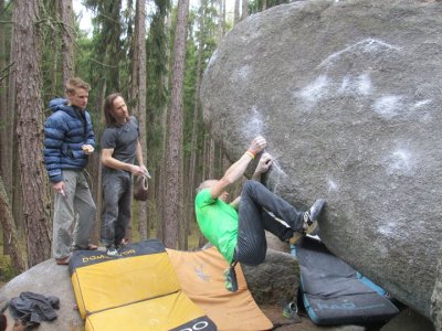 Ríša ladí program