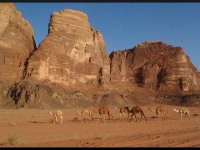 Wadi Rum 2015