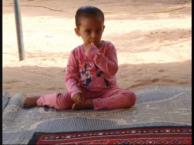 Dcera pana domácího