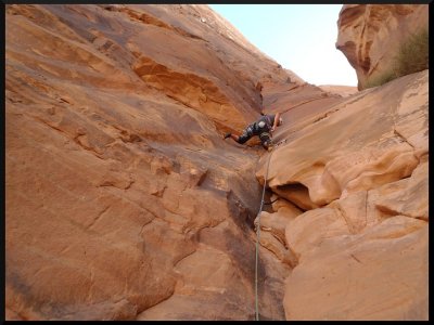 The Beauty - třetí délka