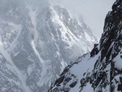 Hrdličky na štandu