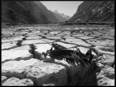 Všichni tady jsme jenom na návštěvě.. 