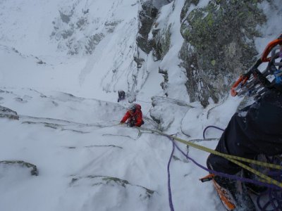 Havranní vlasy. Foto Václav Dedík