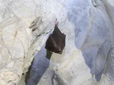 Nepamatuju si, z kterého oddílu byl...