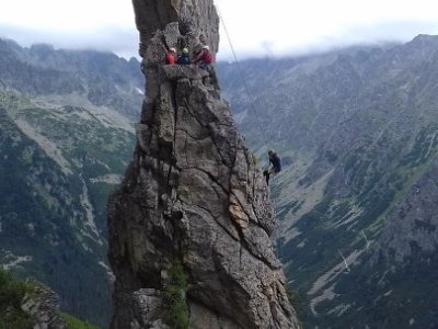 Pohyb všemi směry.