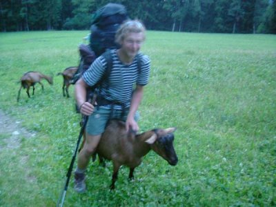 Žádní falešní sobi - pravé kozy