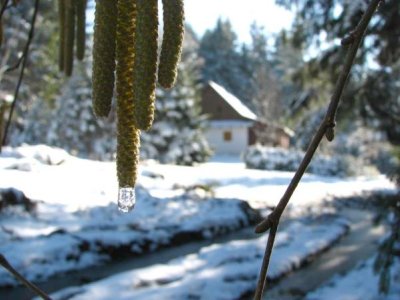 Perníková chaloupka