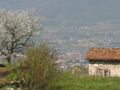 Romantika v Norigliu