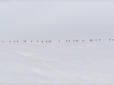 1. Marek Vičar - Hurá na ledovec