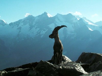 3. Tomáš Matějka - Kozorožec a v pozadí Dom a Tashhorn